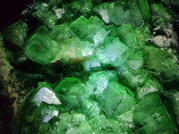 Natural Cubic Green Fluorite Cluster Specimen x 1 From Mandrosonoro, Madagascar