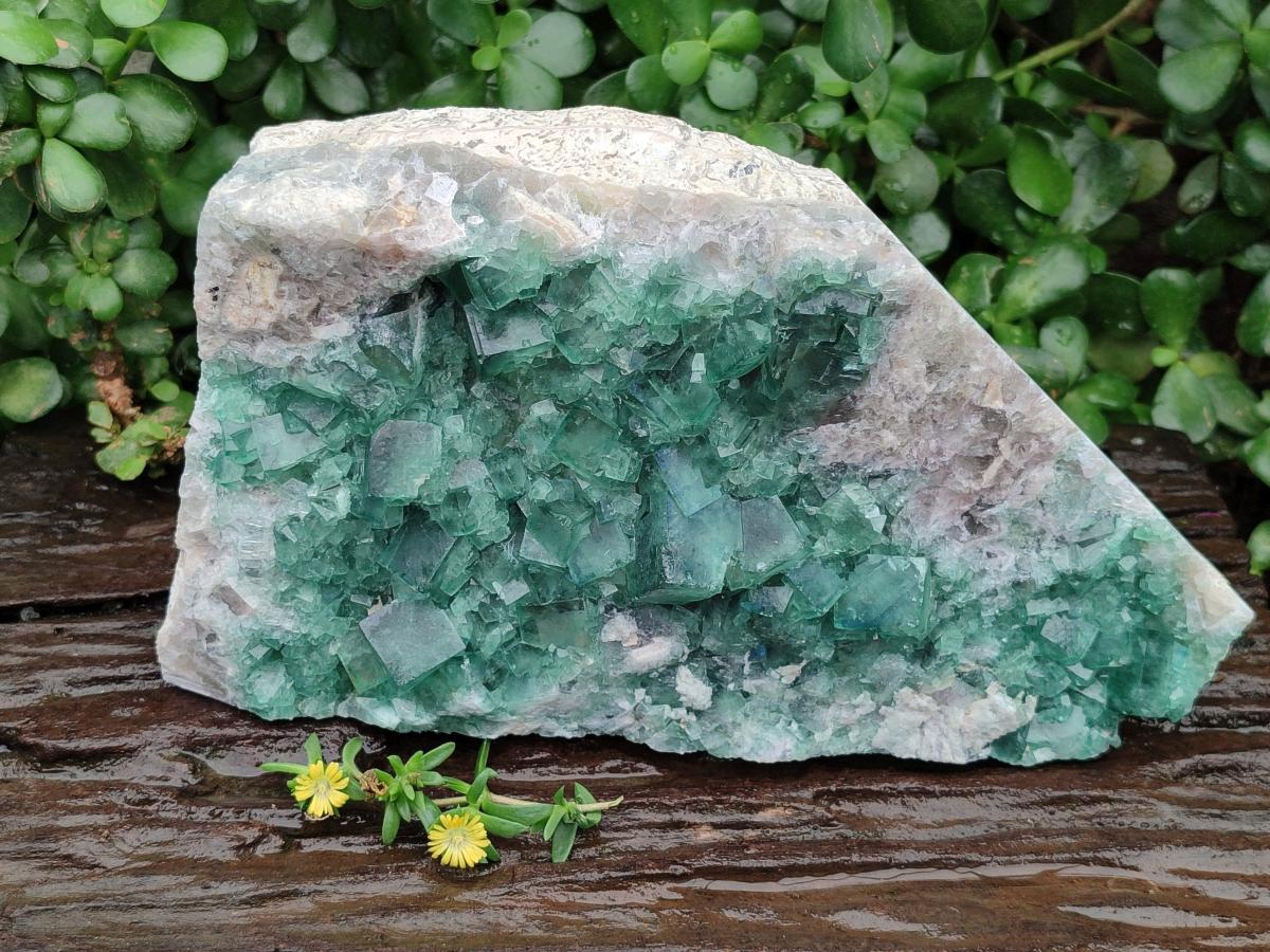 Natural Cubic Green Fluorite Cluster Specimen x 1 From Mandrosonoro, Madagascar