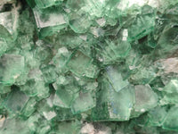 Natural Cubic Green Fluorite Cluster Specimen x 1 From Mandrosonoro, Madagascar