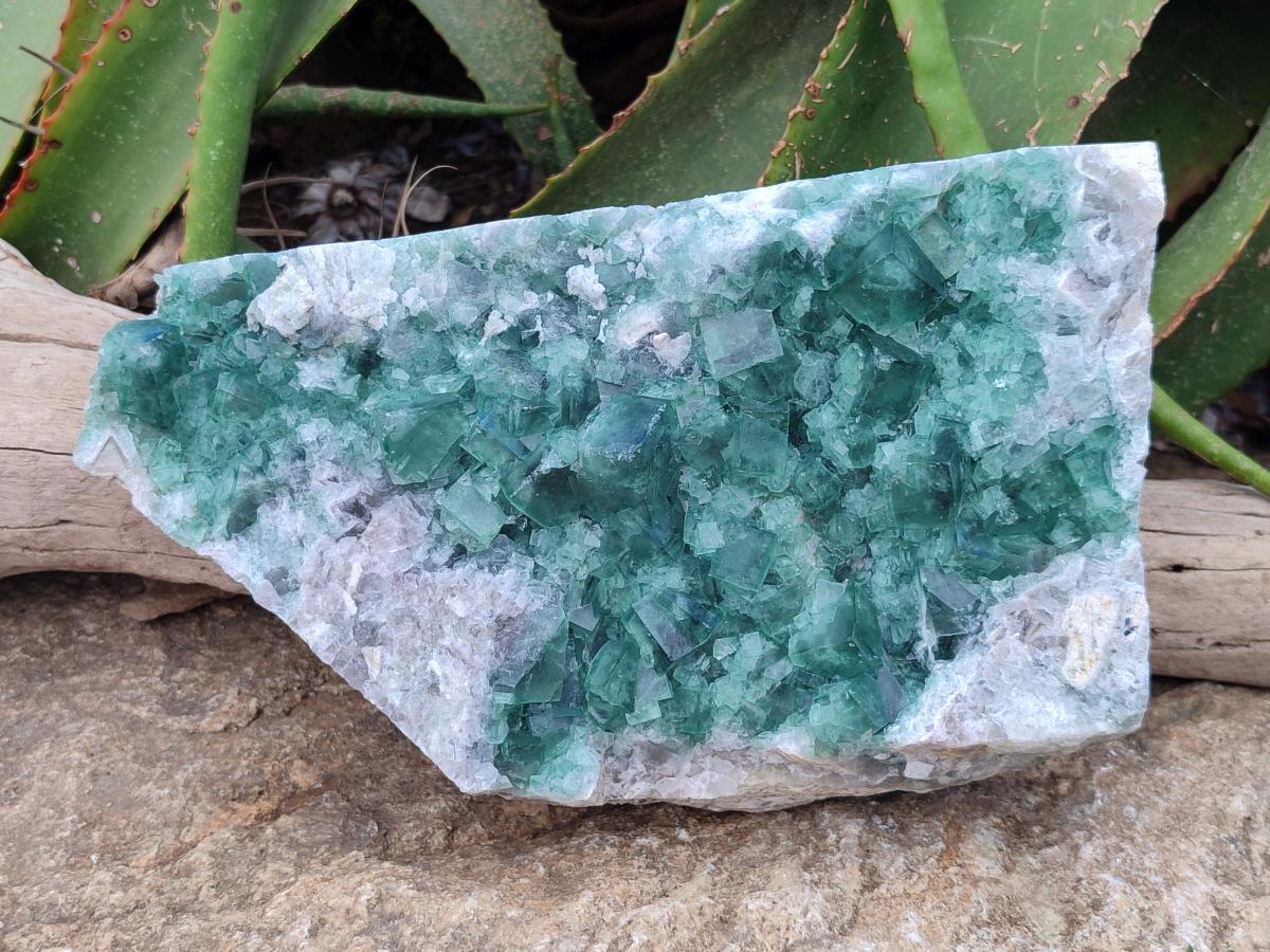 Natural Cubic Green Fluorite Cluster Specimen x 1 From Mandrosonoro, Madagascar