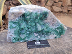 Natural Cubic Green Fluorite Cluster Specimen x 1 From Mandrosonoro, Madagascar