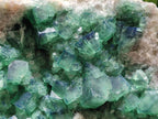 Natural Cubic Green Fluorite Cluster Specimen x 1 From Mandrosonoro, Madagascar