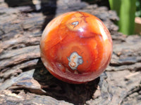 Polished Carnelian Agate Gemstone Spheres x 8 From Madagascar