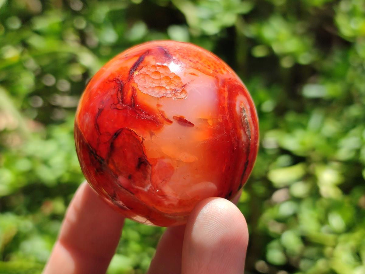 Polished Carnelian Agate Gemstone Spheres x 8 From Madagascar