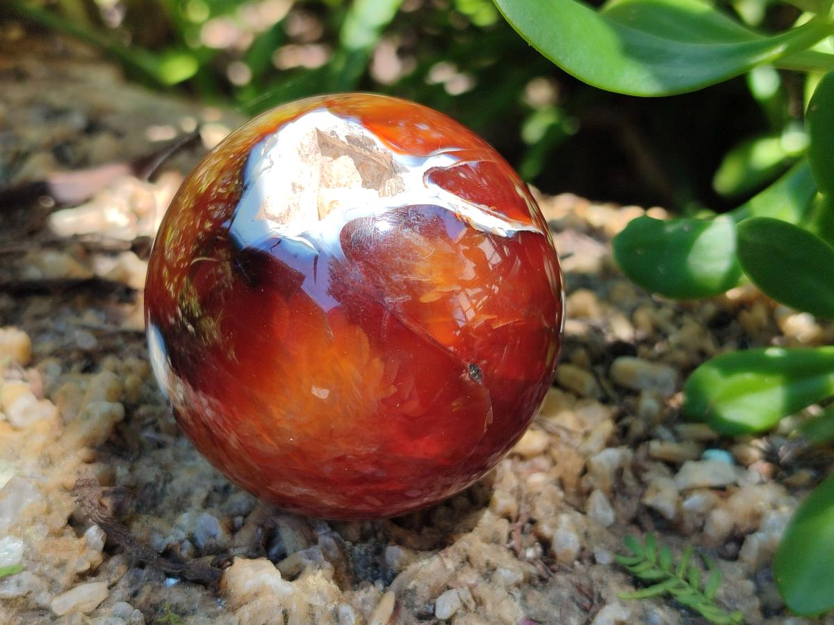 Polished Carnelian Agate Gemstone Spheres x 8 From Madagascar
