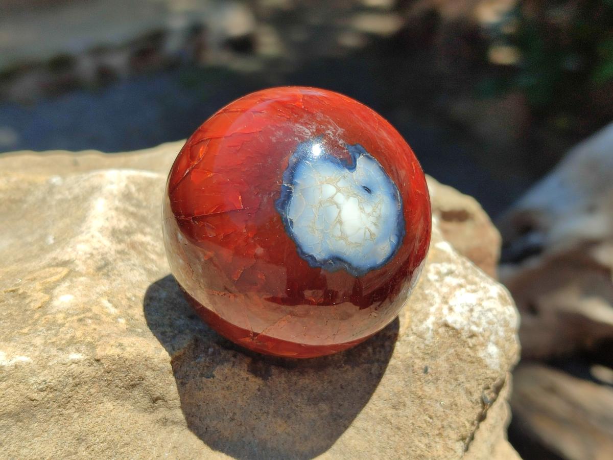 Polished Carnelian Agate Gemstone Spheres x 8 From Madagascar