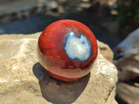 Polished Carnelian Agate Gemstone Spheres x 8 From Madagascar