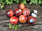 Polished Carnelian Agate Gemstone Spheres x 8 From Madagascar