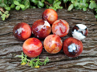 Polished Carnelian Agate Gemstone Spheres x 8 From Madagascar