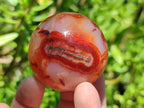 Polished Carnelian Agate Gemstone Spheres x 8 From Madagascar