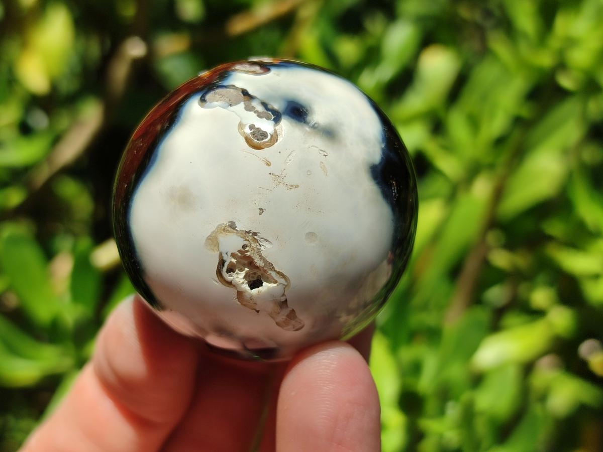 Polished Carnelian Agate Gemstone Spheres x 8 From Madagascar