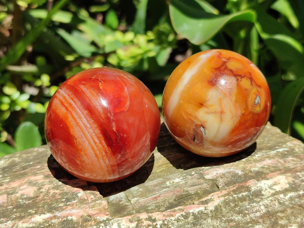 Polished Carnelian Agate Gemstone Spheres x 8 From Madagascar