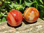 Polished Carnelian Agate Gemstone Spheres x 8 From Madagascar