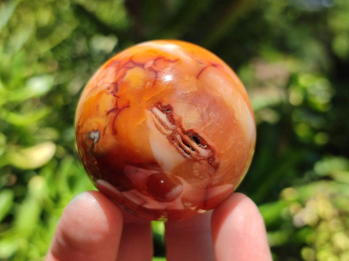 Polished Carnelian Agate Gemstone Spheres x 8 From Madagascar