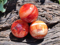 Polished Carnelian Agate Gemstone Spheres x 8 From Madagascar