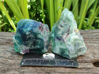 Natural Watermelon Fluorite Cobbed Specimens x 12 From Uis, Namibia