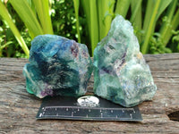 Natural Watermelon Fluorite Cobbed Specimens x 12 From Uis, Namibia