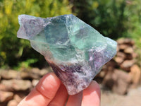 Natural Watermelon Fluorite Cobbed Specimens x 12 From Uis, Namibia