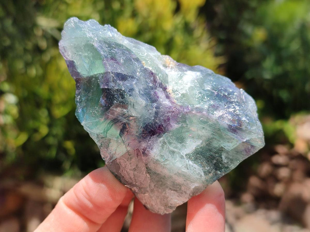 Natural Watermelon Fluorite Cobbed Specimens x 12 From Uis, Namibia