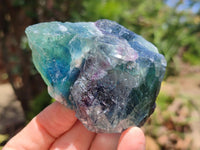 Natural Watermelon Fluorite Cobbed Specimens x 12 From Uis, Namibia