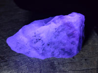 Natural Watermelon Fluorite Cobbed Specimens x 12 From Uis, Namibia