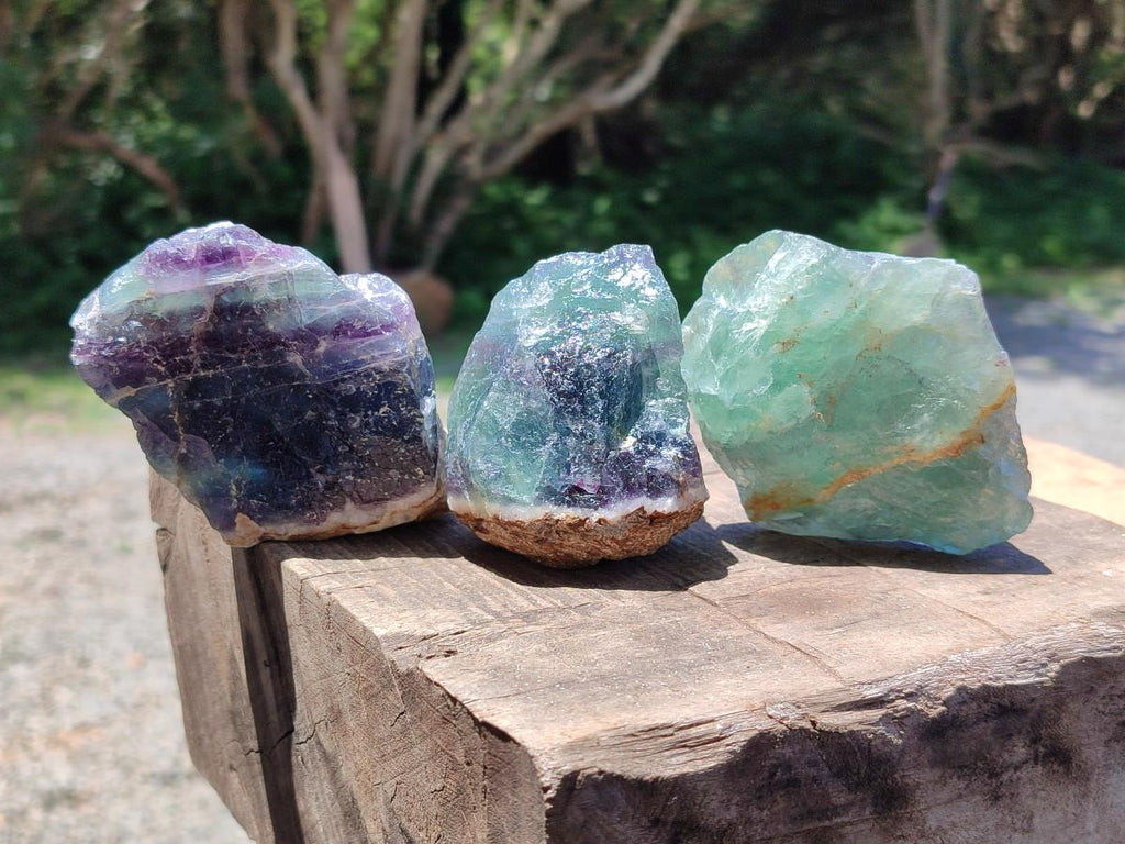 Natural Watermelon Fluorite Cobbed Specimens x 12 From Uis, Namibia