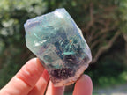 Natural Watermelon Fluorite Cobbed Specimens x 12 From Uis, Namibia