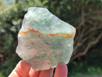 Natural Watermelon Fluorite Cobbed Specimens x 12 From Uis, Namibia