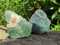 Natural Watermelon Fluorite Cobbed Specimens x 12 From Uis, Namibia