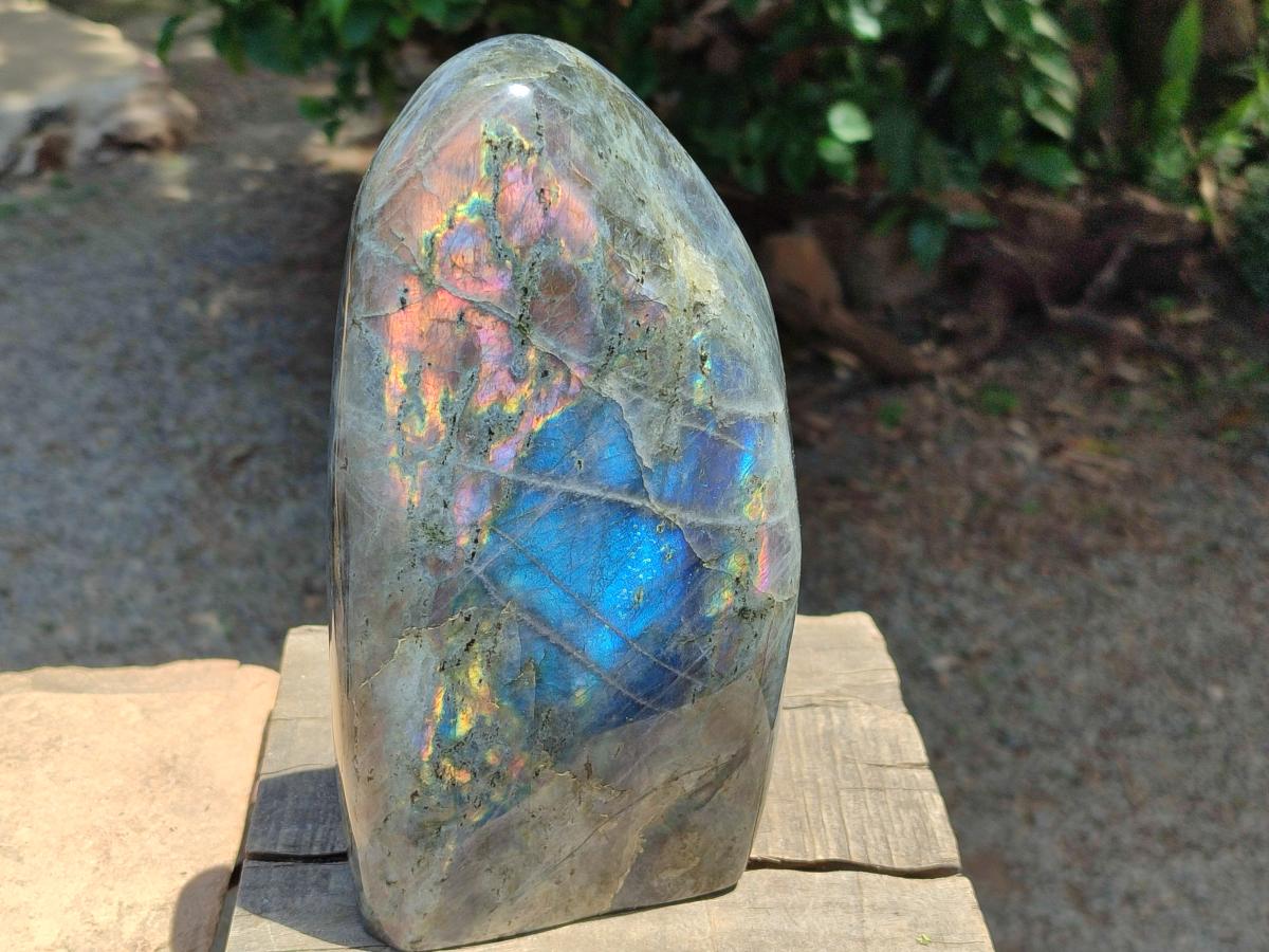 Polished Rare Purple Sunset Flash Labradorite Standing Free Form x 1 From Madagascar
