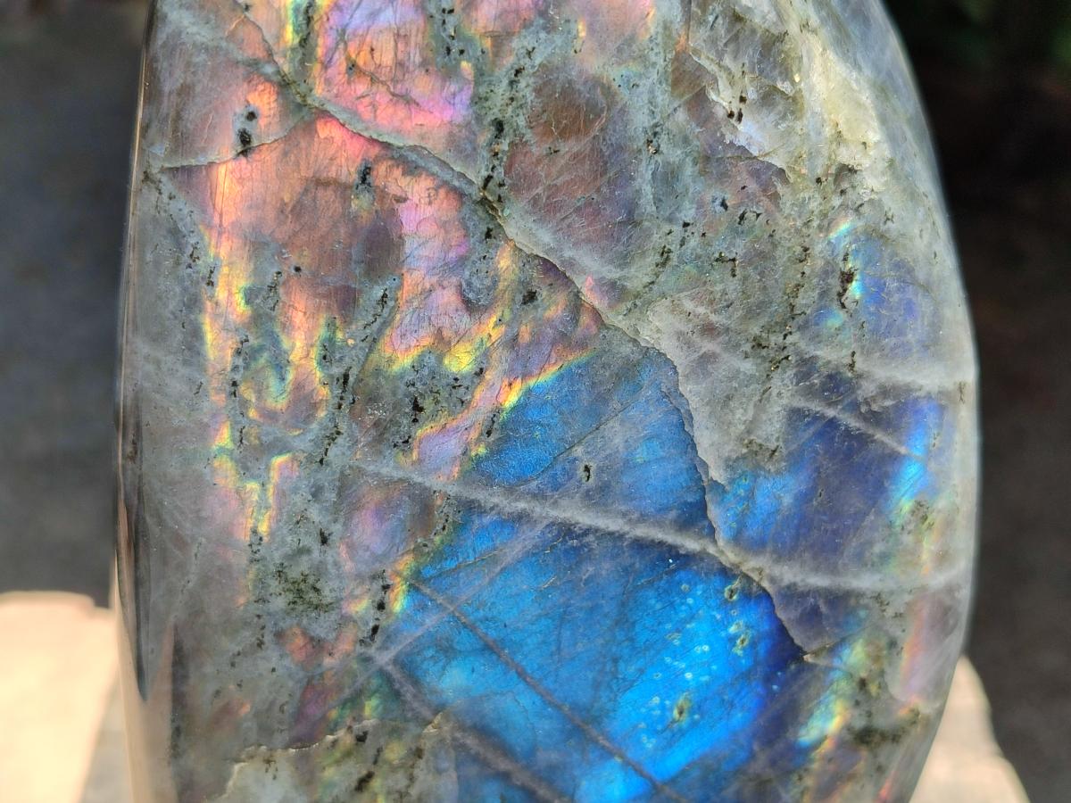 Polished Rare Purple Sunset Flash Labradorite Standing Free Form x 1 From Madagascar