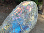 Polished Rare Purple Sunset Flash Labradorite Standing Free Form x 1 From Madagascar