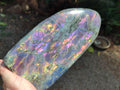 Polished Rare Purple Sunset Flash Labradorite Standing Free Form x 1 From Madagascar