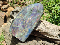 Polished Rare Purple Sunset Flash Labradorite Standing Free Form x 1 From Madagascar