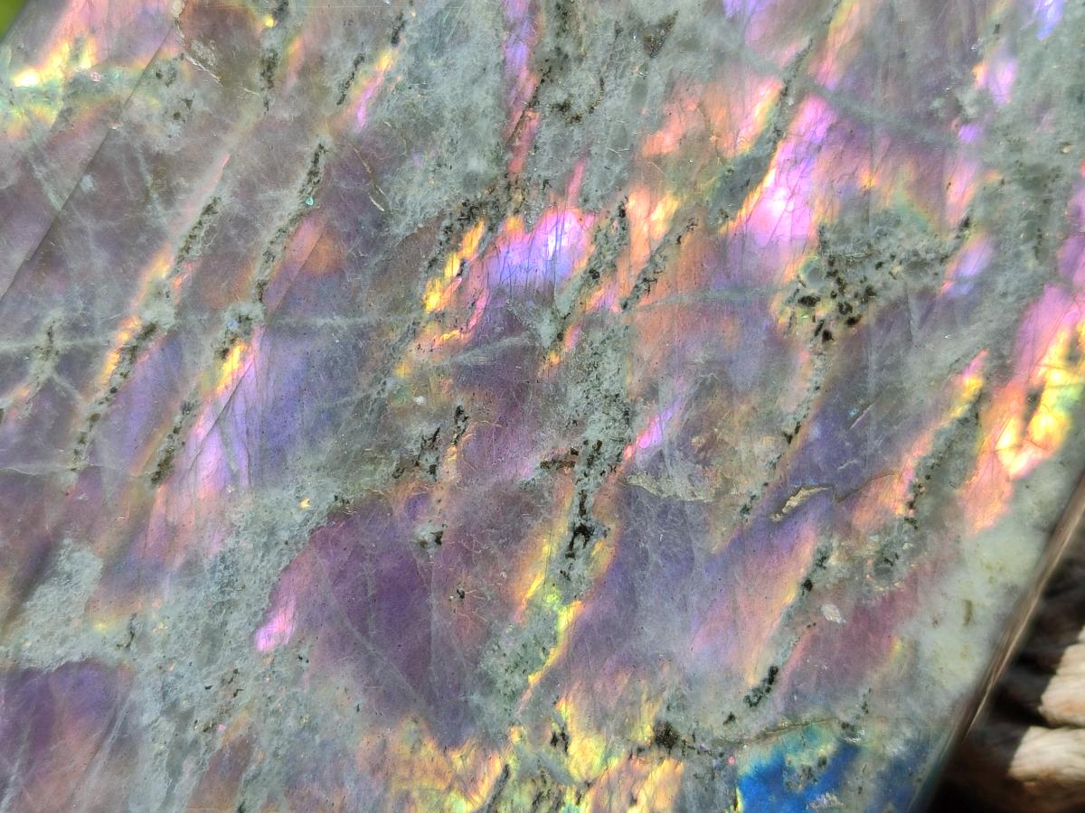 Polished Rare Purple Sunset Flash Labradorite Standing Free Form x 1 From Madagascar