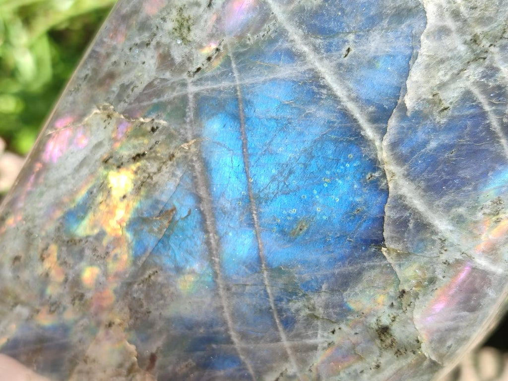 Polished Rare Purple Sunset Flash Labradorite Standing Free Form x 1 From Madagascar