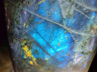 Polished Rare Purple Sunset Flash Labradorite Standing Free Form x 1 From Madagascar