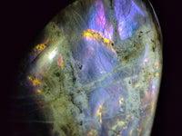 Polished Rare Purple Sunset Flash Labradorite Standing Free Form x 1 From Madagascar