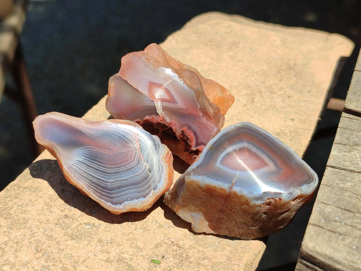 Polished On One Side Red Shashe River Agate Nodules x 35 From Shashe River, Zimbabwe