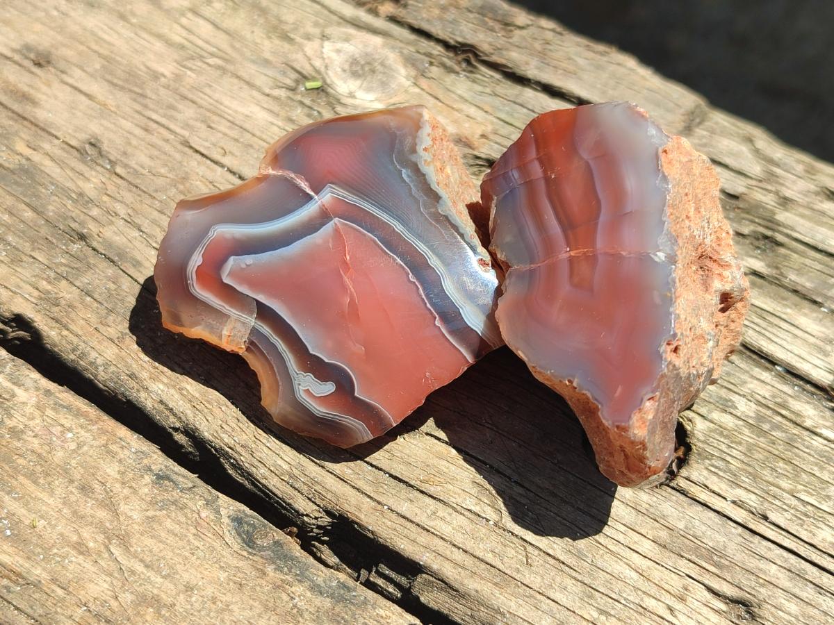 Polished On One Side Red Shashe River Agate Nodules x 35 From Shashe River, Zimbabwe