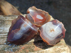 Polished On One Side Red Shashe River Agate Nodules x 35 From Shashe River, Zimbabwe