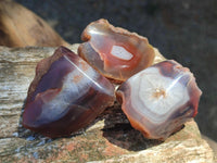 Polished On One Side Red Shashe River Agate Nodules x 35 From Shashe River, Zimbabwe