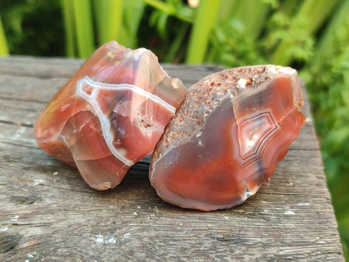 Polished On One Side Red Shashe River Agate Nodules x 35 From Shashe River, Zimbabwe