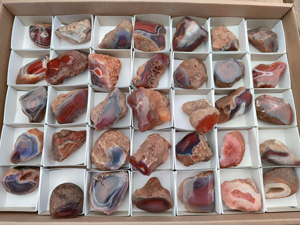 Polished On One Side Red Shashe River Agate Nodules x 35 From Shashe River, Zimbabwe