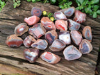 Polished On One Side Red Shashe River Agate Nodules x 35 From Shashe River, Zimbabwe