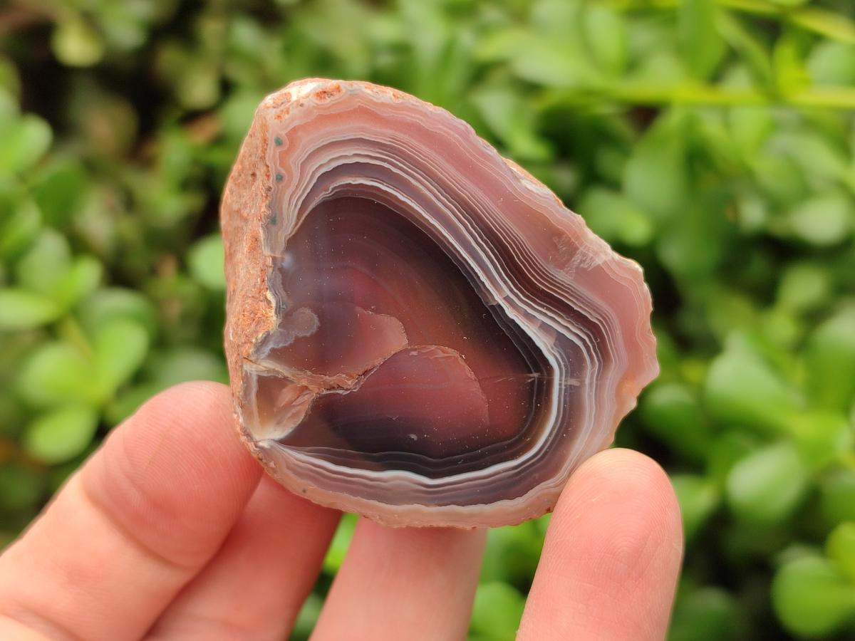 Polished On One Side Red Shashe River Agate Nodules x 35 From Shashe River, Zimbabwe
