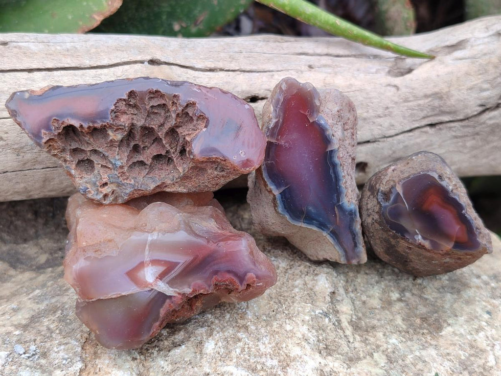Polished On One Side Red Shashe River Agate Nodules x 35 From Shashe River, Zimbabwe