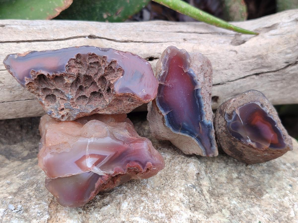 Polished On One Side Red Shashe River Agate Nodules x 35 From Shashe River, Zimbabwe