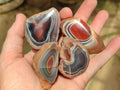 Polished On One Side Red Shashe River Agate Nodules x 35 From Shashe River, Zimbabwe