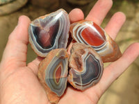 Polished On One Side Red Shashe River Agate Nodules x 35 From Shashe River, Zimbabwe